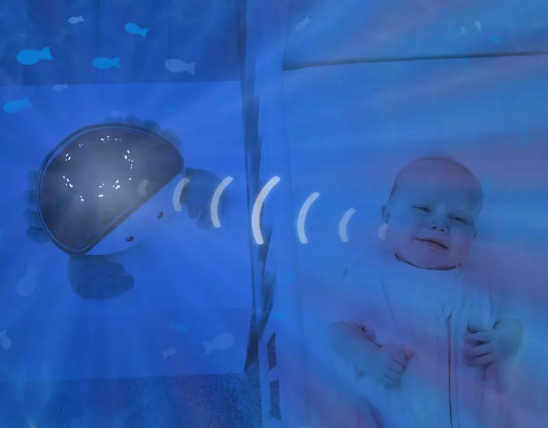 Zazu - Cody 海洋投射器