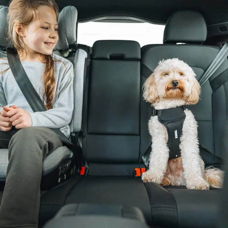 Thule - Cappy Dog Car Harness L
