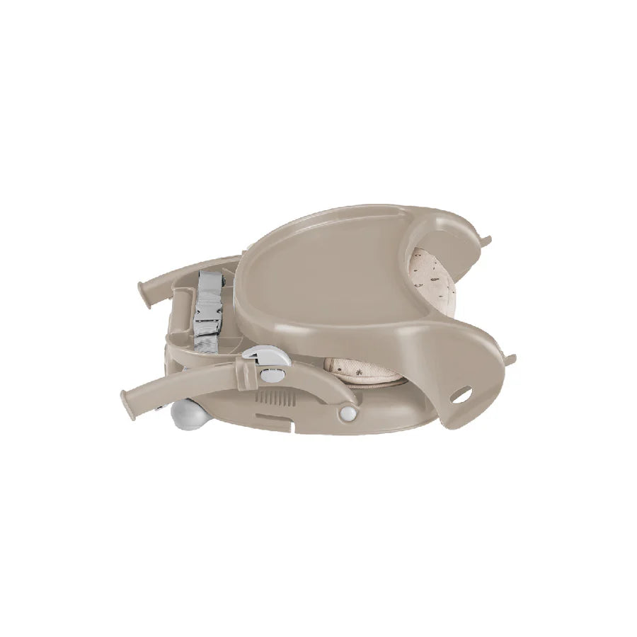 CAM - Smarty Pop Booster - Orso Luna