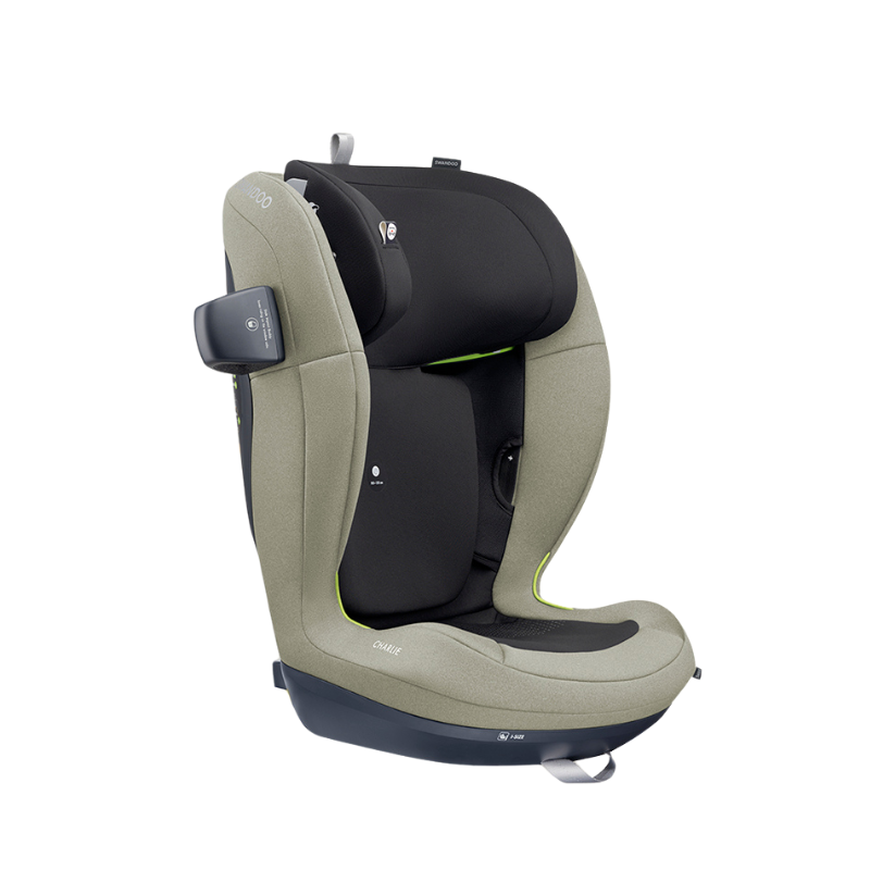 Swandoo -  Charlie i-Size 增高型3-12歲兒童安全座椅(鼠尾草灰)【立即預訂！10個工作天後出貨】
