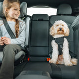Thule - Cappy Dog Car Harness L