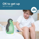 Zazu - Pam Sleeptrainer Grey