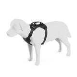 Thule - Cappy Dog Car Harness L
