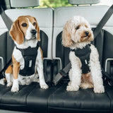 Thule - Cappy Dog Car Harness L